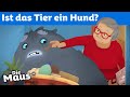 Trudes tier sitz  diemaus  wdr