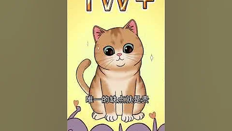 王多喵:  你知道為什麼金漸層比布偶受歡迎嗎？這樣的金漸層，你想不想養一隻呢？再來一篇 ～這5個家中常見物品，會害了貓咪！還不趕緊收好，特別是養貓新手哦！ - 天天要聞