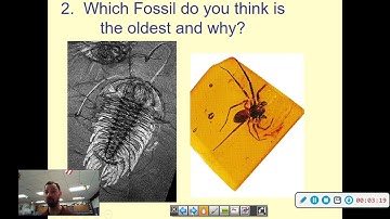 Earth Science Notes 13-2 Geologic Time (Fossils)