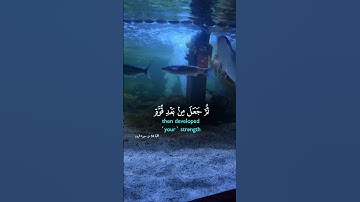 تلاوة عطرة لآيات من كتاب الله #القرآن_الكريم #اكسبلور #راحة_نفسية #foryou  #viral#