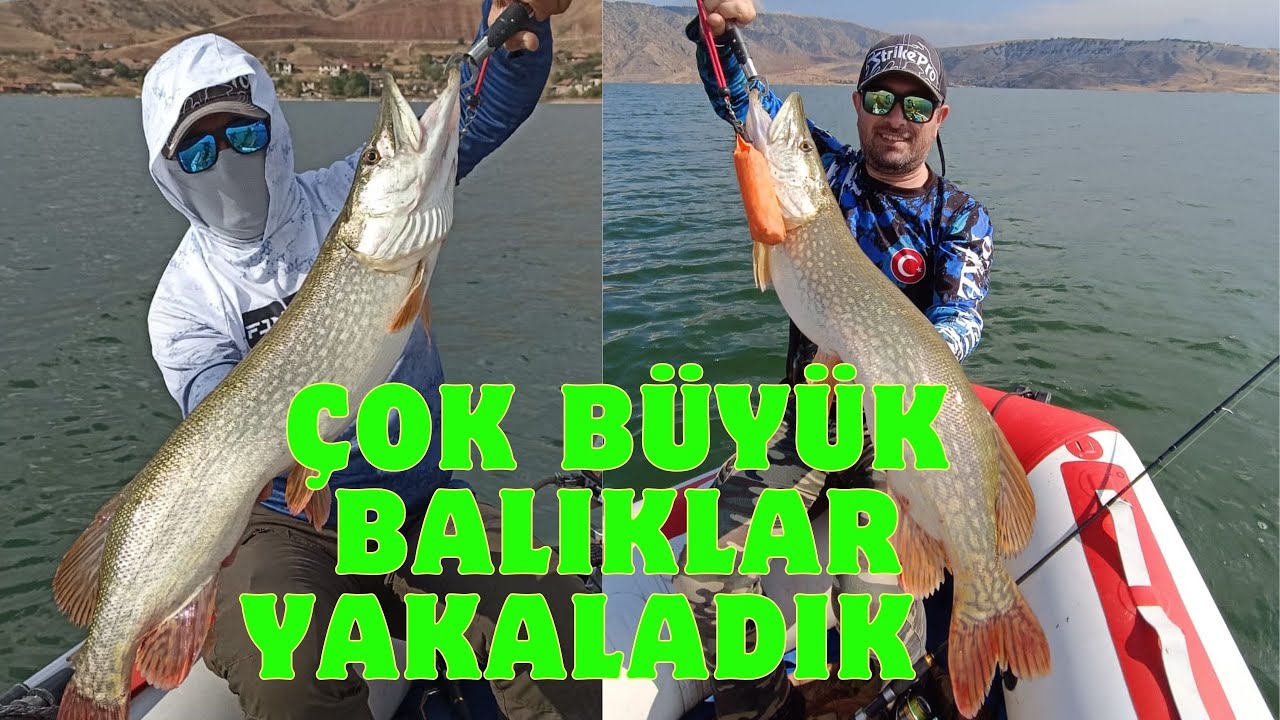 BU TURNALAR ÇILDIRMIŞ 104cm - 92cm - 85cm BOL MACERALI BİR TURNA AVI OLDU  ( OBRUK BARAJI )