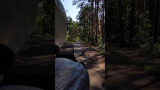 Мото поїздка в лісі honda cbf 600