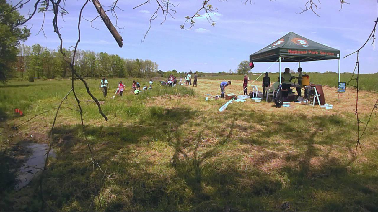 Gettysburg BioBlitz 2016 Stream Station Timelapse YouTube