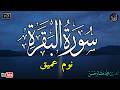 سورة البقرة طاردة الشياطين  بصوت هادئ ومريح جدا جدا   تلاوة هادئة للنوم والراحة النفسية   سمعها