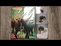 ♡Unboxing NCT 127 2nd Japanese Mini Album LOVEHOLIC (4 Types)♡