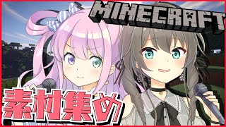 【Minecraft】フェスティバルーナのエンドラ討伐激！#素材集め編【姫森ルーナ/夏色まつり】
