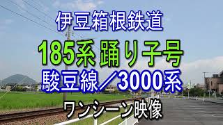 国鉄185系踊り子号／伊豆箱根鉄道駿豆線3000系　いずっぱこ 185系で旅する修善寺温泉　通過音　警笛音あり（2019年映像記録）