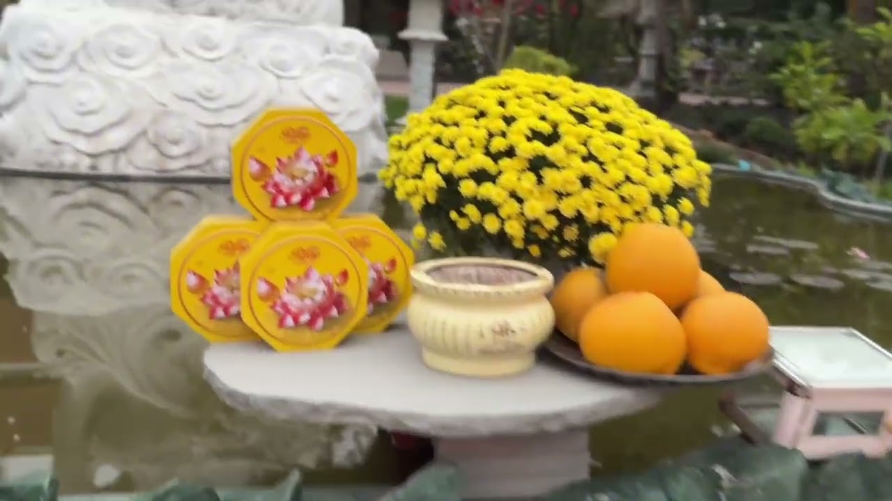 ngày 19 tháng 2, 2026