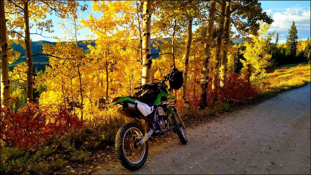 Fall Dirt Bike Ride. Nice foliage and wildlife. 1080 HD. Steamboat