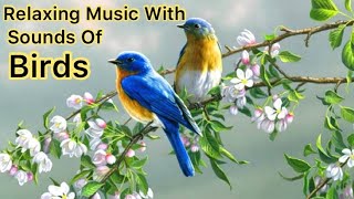 Beautiful Nature With Relaxing Music And Sounds Of Birds Australia screenshot 5