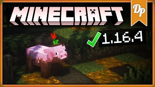 Minecraft 1.16.5 Texture Packs - Free Minecraft Texture Packs Download