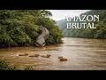 AMAZON BRUTAL The Most Mysterious Predators Of The Tropical Rainforest Animal Documentary 