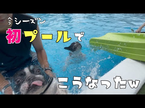 今シーズン初のプールでみんな最強に可愛い泳ぎを魅せてくれました！