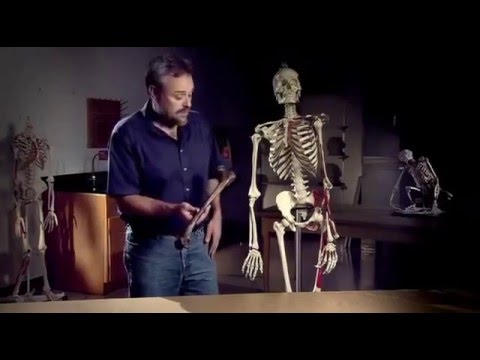 Vidéo: Homo Erectus Peut être Mort Beaucoup Plus Tôt Que L'apparition De L'Homo Sapiens - Vue Alternative