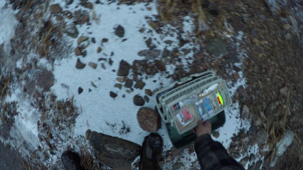 4K Brown trout fishing open water in the Bras Dor Lakes on January 6, 2017! YouTube