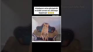 Arkadaşının Evindeyken Bir Anda Annesi Arkadaşını Dövmeye Başlamıştır