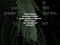 Не будь удобным ! #meditation#музыкадлядуши