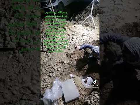 تصویری: صدف ها وقتی در شن دفن می شوند چگونه نفس می کشند؟