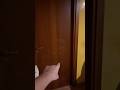 Mai giocare a basket d’estate oppure succede questo…?? #shorts #horror #paura #minecraft #short