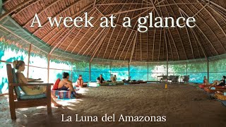 A week at a glance - Inside a ayahuasca retreat - Luna del Amazonas introduction.