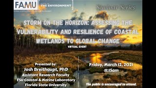 Storm On The Horizon: Assessing The Vulnerability & Resilience of Coastal Wetlands to Global Change