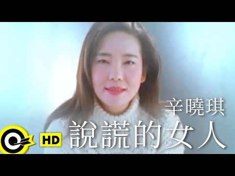 辛曉琪 Winnie Hsin【說謊的女人 The woman who lies】Official Music Video