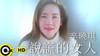 辛曉琪 Winnie Hsin【說謊的女人 The woman who lies】Official Music Video