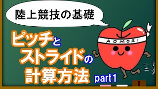 【陸上競技の基礎】ピッチとストライドとは？