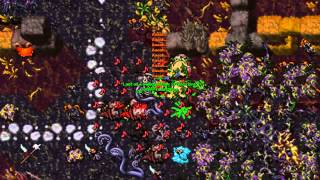 [WB] Brimstone Bugs X3