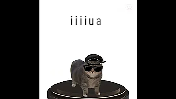 Fein U I I A Cat Memes Funny 