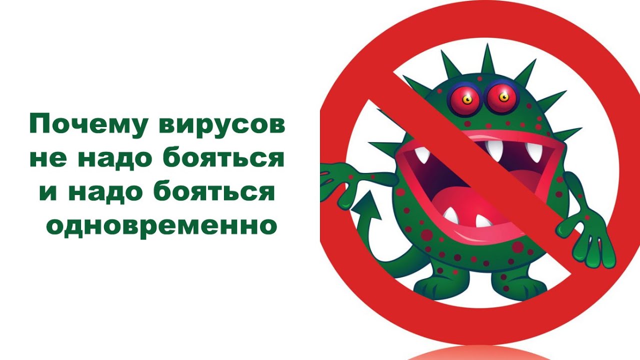 Почему вирусов не надо бояться и надо бояться одновременно - YouTube