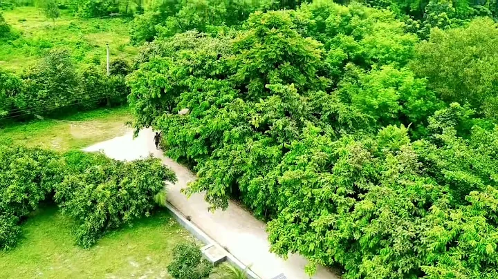 Beautiful Campus, BRUR