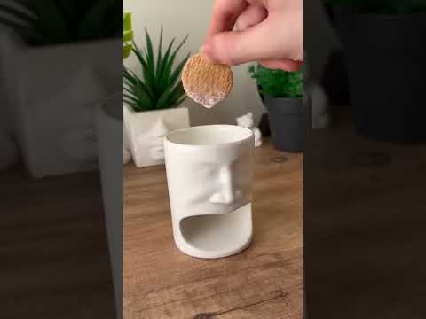 Biscuit Pocket Mug – The Ultimate Snack Hack! 🍪☕#coffeelovers  #gadgetgoals  #biscuit #mug  #shorts