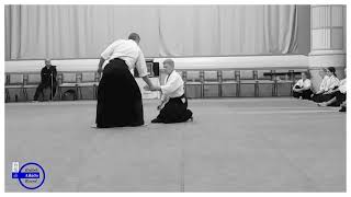 Aikido Demo