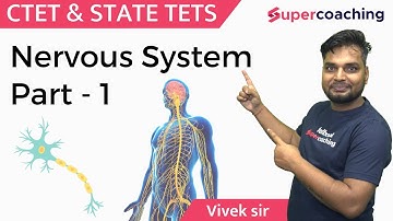 CTET 2022 - Science Class by Vivek sir | Nervous System Part -1 | Crack CTET 2022