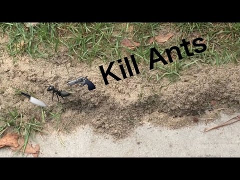 How to kill fire ants with vinegar and baking soda