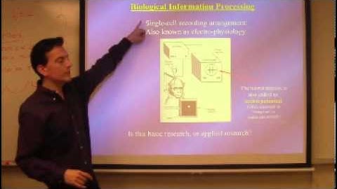 Theories of Perception Part 2 Lecture By Nestor Matthews