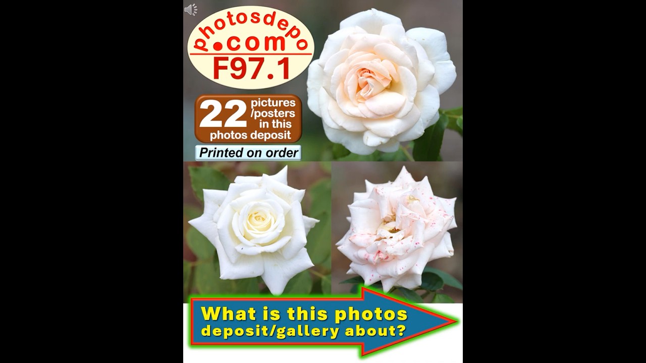 Photos Deposit and Gallery F97 Intro 