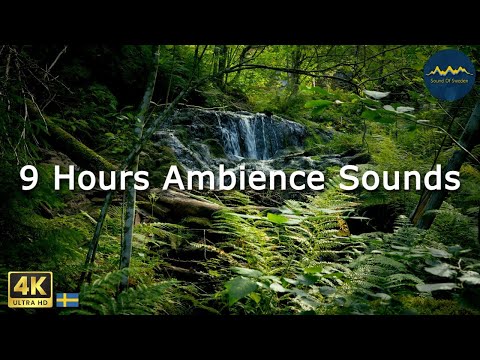 Relaxing ASMR Nature Sounds - for Focus, Sleep, Calm - Sound Of Sweden