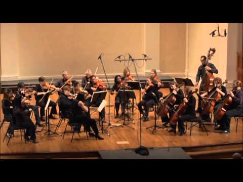 Mozart: Eine Kleine