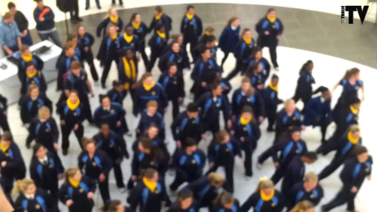 Tralie Flash Mob