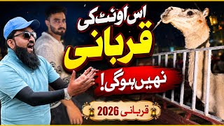 Kheere Camel Ki Qurbani | Qurbani 2026 | Kitne Ka Liya |  Shapur Kanjra Lahore Mandi 