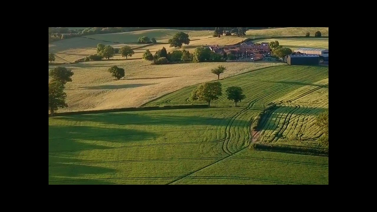 Strange Flying objects in my drone footage UFOS