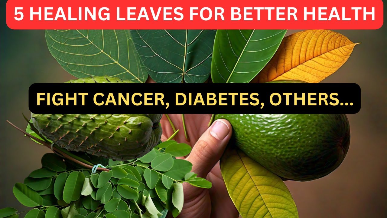 5 Healing Leaves You Need to Know for Better Health!