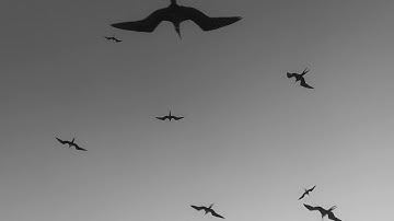 tEEonE - Beliefs - Live session using Model D, Minilogue, SQ-1 and Ekoverb