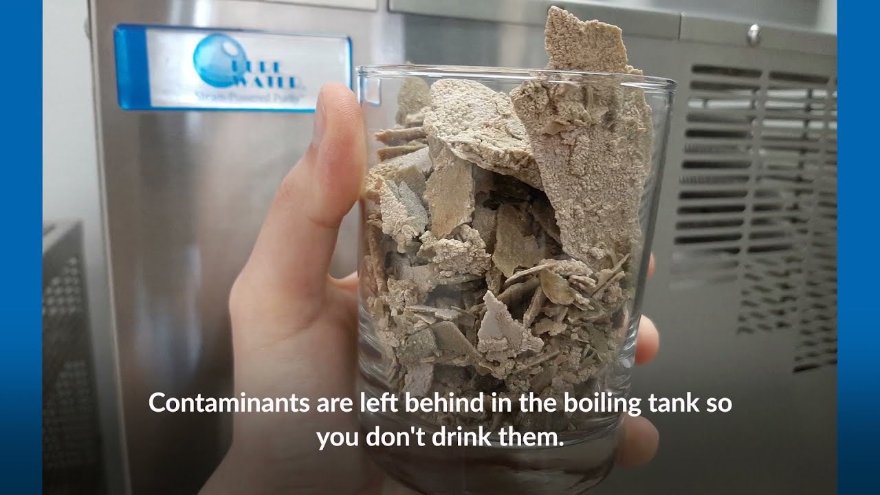 What Is The Best Water To Drink YouTube