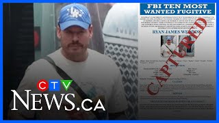 Ex-Fbi Agent On Capture Of Drug Kingpin Ryan Wedding And What Comes Next