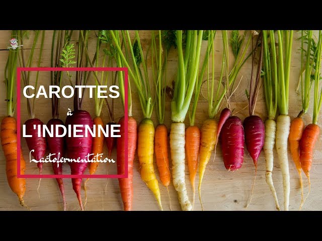 Carottes - Épices douces - La voie lacto