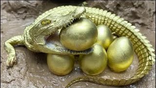 Stop Motion ASMR - The Golden Crocodile Trap Primitive Hunting and Fishing Experiment Cooking screenshot 4