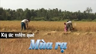 Ký ức miền quê | Mùa rạ | THKG